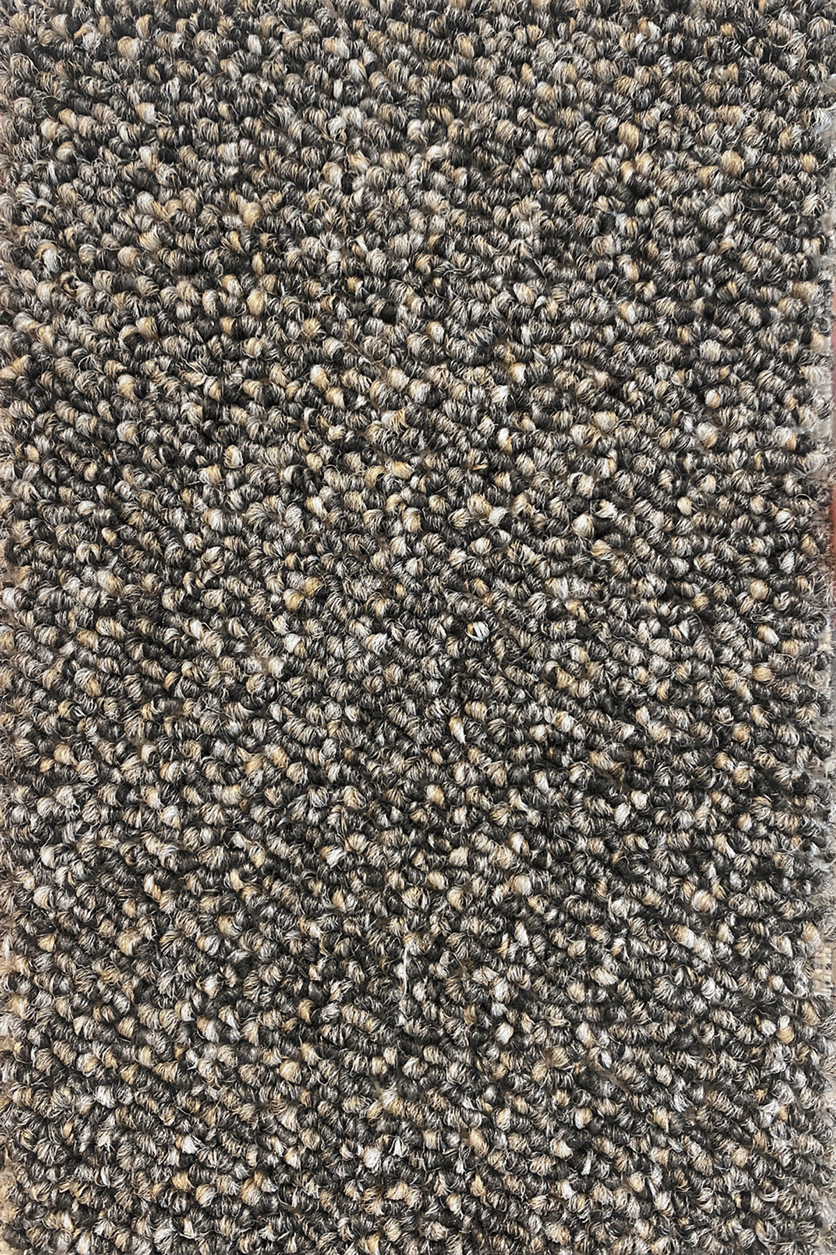 Ковровое покрытие "Bonkeel" Nero 97 (ширина 4м) — купить в Котласе