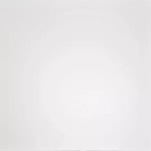 Керамогранит Домино (Domino) 600*600 белый G-100/MR — купить в Котласе