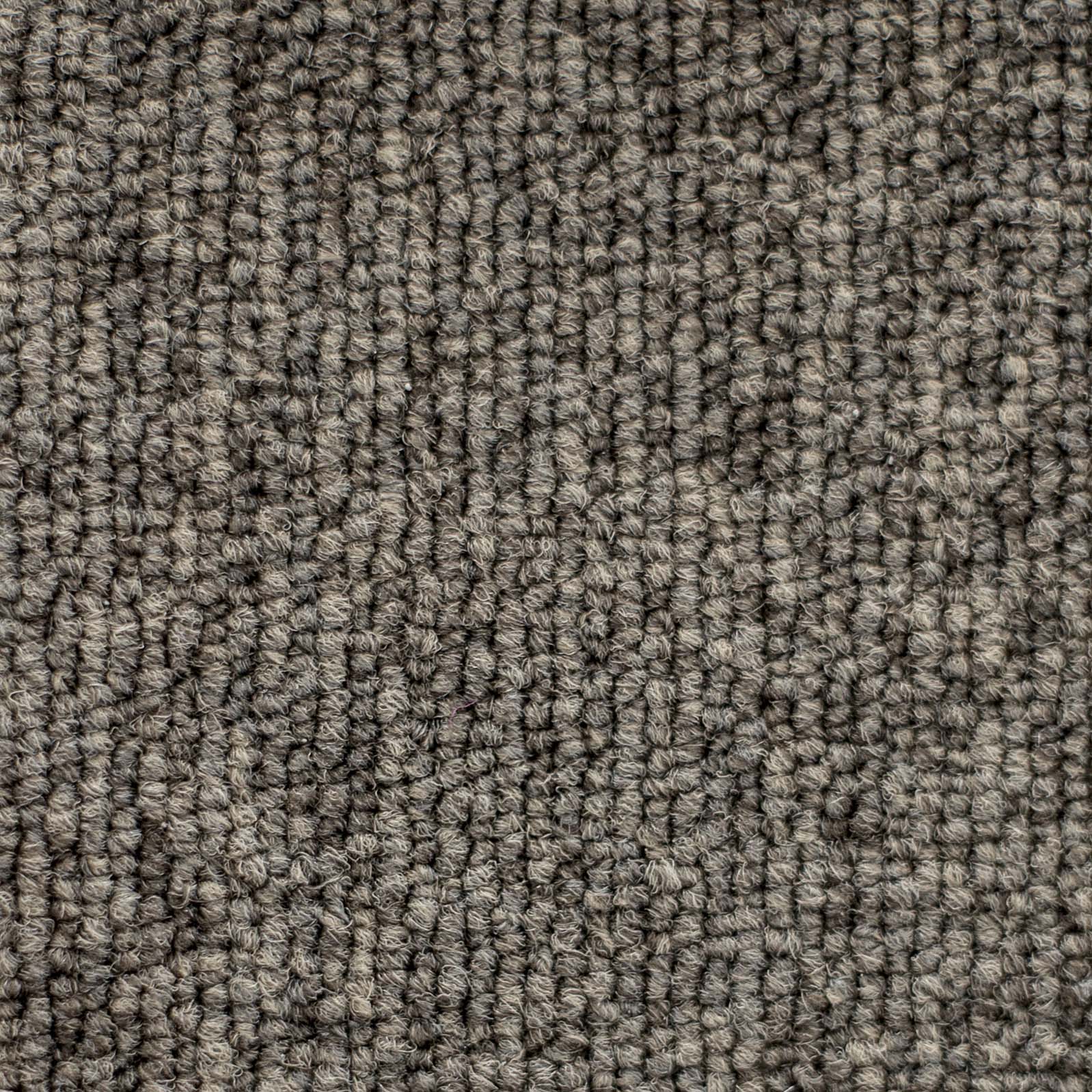 Ковролин "Зартекс" Daily 68 коричневый (4м) — купить в Котласе