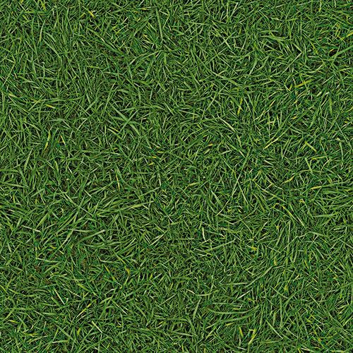Линолеум бытовой "IVC" Bingo Grass 25 (3м) — купить в Котласе