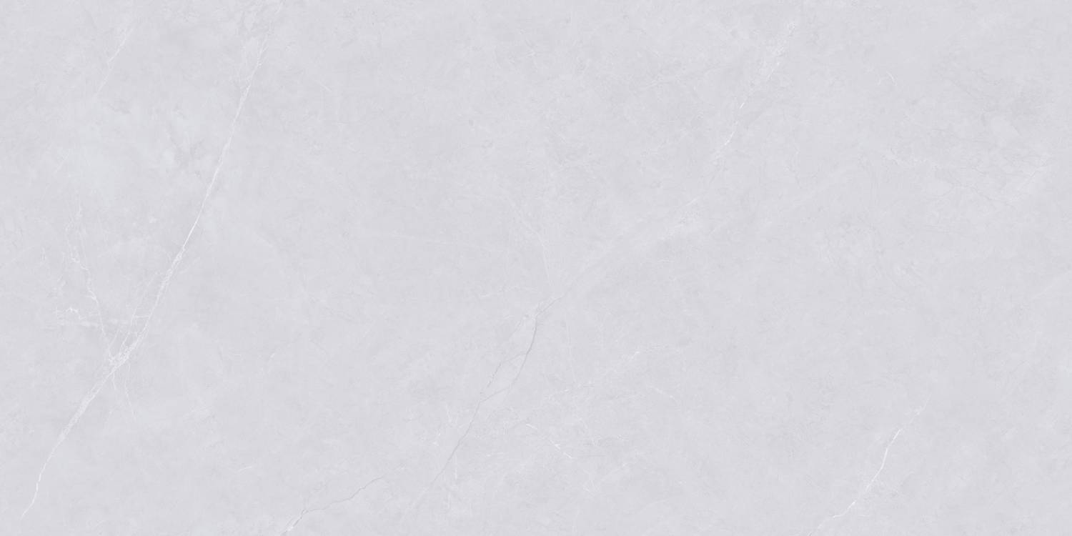 Керамогранит "Wan Sheng" Glazed (1200*600 мм) Серый D12620 — купить в Котласе