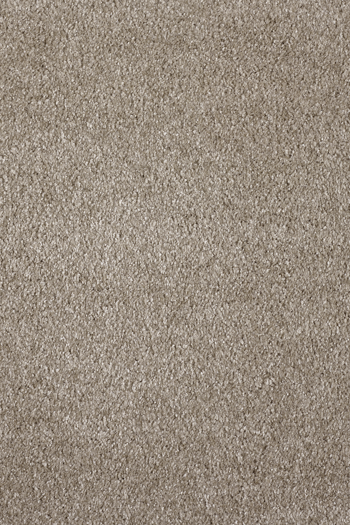 Ковровое покрытие "Bonkeel" Parana 34 (ширина 4м/5м) — купить в Котласе