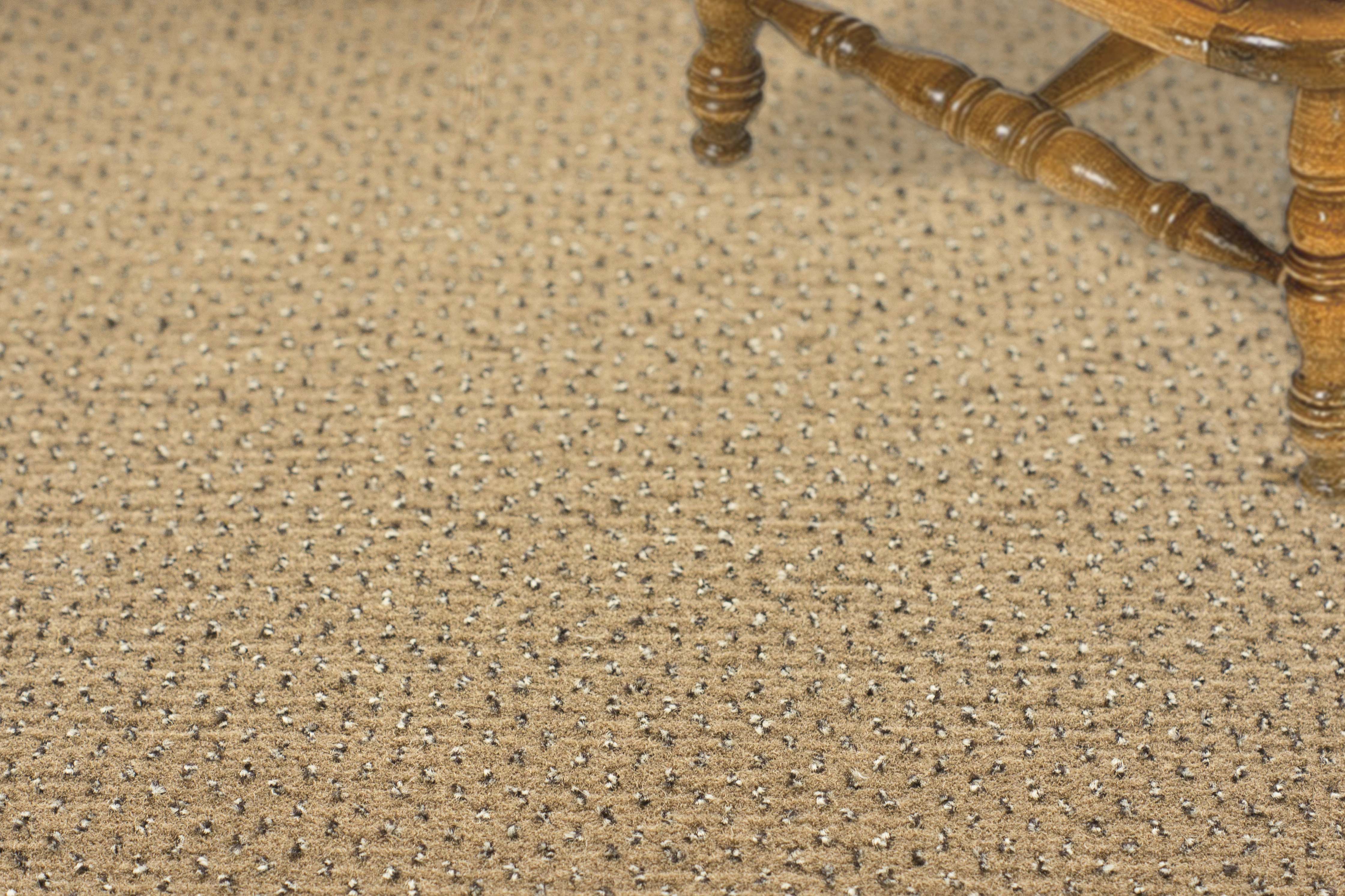 Ковролин "Зартекс" Eternity 142 бежевый (4м) — купить в Котласе